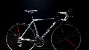 speciality bike 300x169.jpg